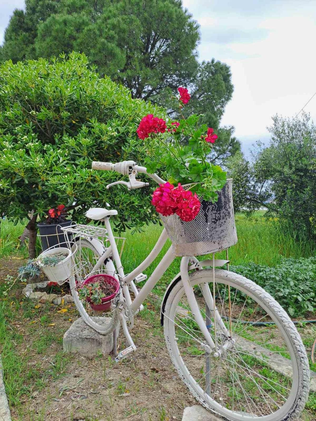 Corfu Lake House กาโนนี ภายนอก รูปภาพ